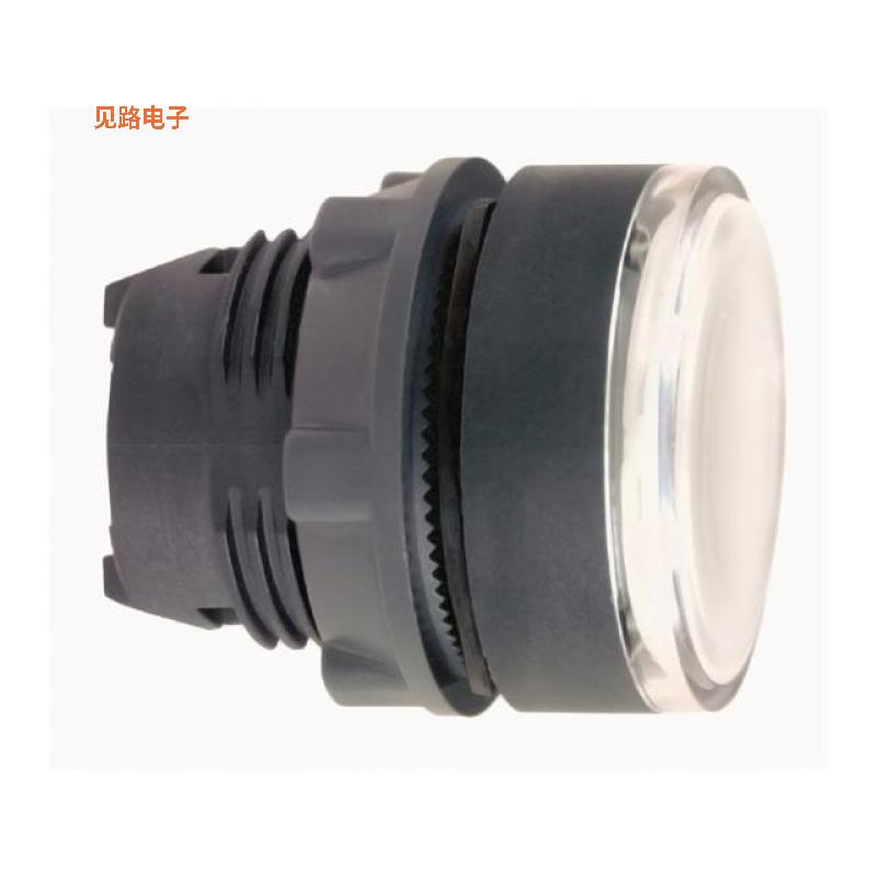 ZB5AH013 -[全新CONFIG SW BODY PUSHBUTTON ILLUM]