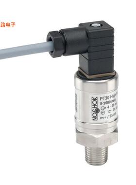 原装正品 PT30-4000psig-1-13-2-17-CC-全新]