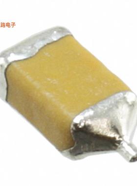 F950J107KAAAQ2 -原装[CAP TANT 100UF 10% 6.3V 1206100 F