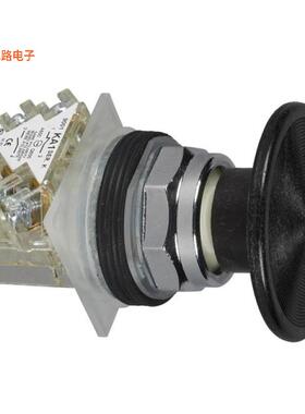 9001KR25BH13 -[全新CONFIG SW BODY MUSH PB NON-ILLUM]