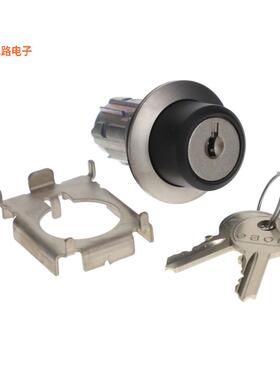 45-290J.4F00.111 -[全新CONFIG SW BODY KEYLOCK NON-ILLUM]