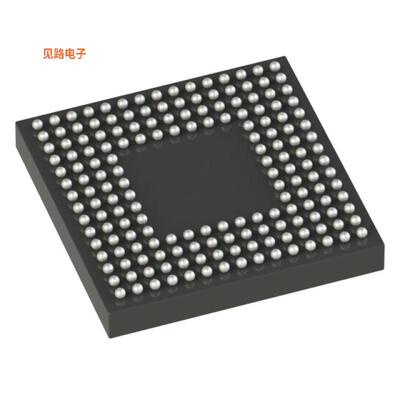 R5F5651EHGBG#20 -原装[IC MCU 32BIT 2MB FLASH 176LFBGA未验证