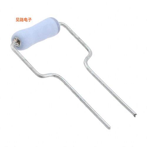 ERX-2FJS2R0E -[全新RES 2 OHM 5% 2W AXIAL]