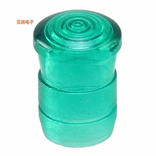 FRESNEL GREEN RING PANEL SMC_170_GTP 全新LENS