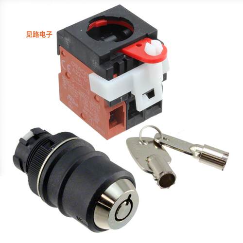 A22TK-2LL-21-K01 -[全新SWITCH KEYLCK 2POS DPST 10A 110V]
