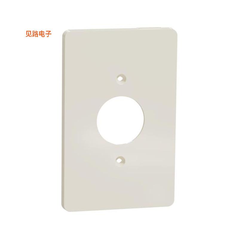 SQWS422001LA -[全新1 G MID+ SINGLE OUTLET WALL PLAT]