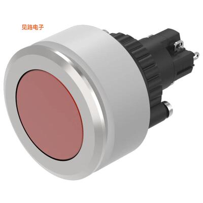 K14-271.222110 -[全新PUSHBUTTON, MAINTAINED, 250 V AC]