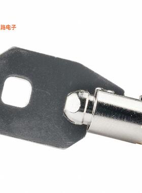 AT4152-021 -[全新SW KEY TUBULAR HIGH SECURITY #21]