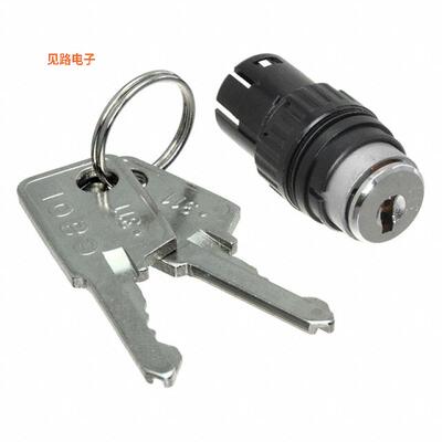 61-2607.0/D -[全新CONFIG SW BODY KEYLOCK NON-ILLUM]