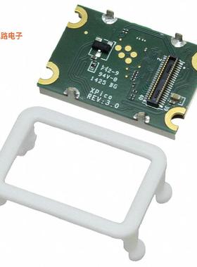 XPW100100B-01 -原装[RF TXRX MODULE WIFI IEEE 802.11未验证