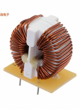 SC22-025-290J -原装[CMC 29MH 2.5A 2LN TH电源线