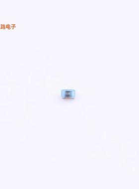 ESW040256NJLB -[原装贴片SMD,1.2x0.7mm