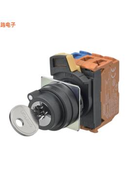 A22NK-2BM-01AA-G101 -[全新SWITCH KEYLCK 2POS DPST 10A 120V]