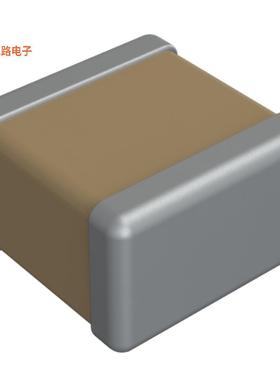 404023K00102GQRAF9LM -[全新4040 SIZE - 2 SINTERED SI