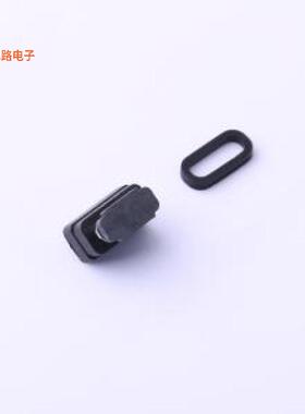 TYPEC-244LD-ARP6X7 -[IPX7防水  居中脚插件USB