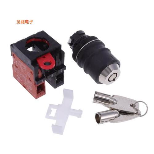 A22TK-2LR-11-K03 -[全新SWITCH KEYLCK 2POS DPST 10A 110V]