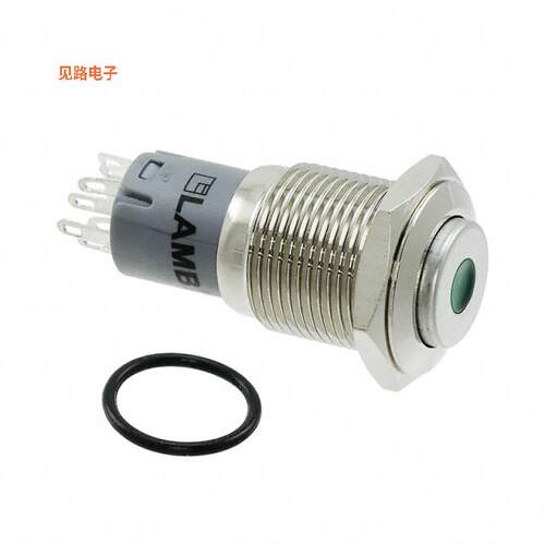 PV3H2H0NN-234 -[全新SWITCH PUSHBUTTON DPDT 2A 48V]