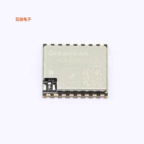 DL-PAN3029-S-868S -[原装模块SMD,17.1x16.1mm