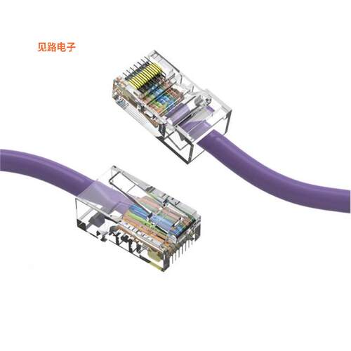 CM-100101PUBSTK -[全新1Ft Cat6 UTP Ethernet Network No]