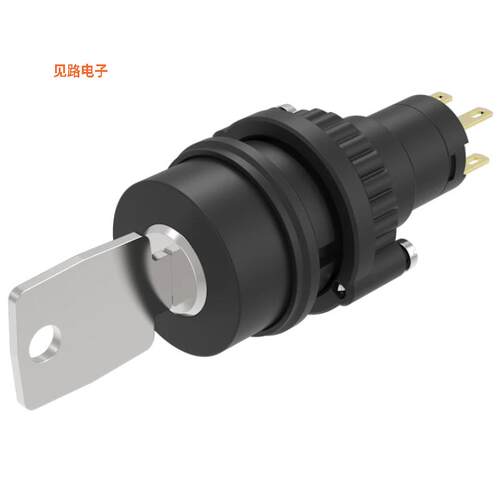 14-235.022K -[全新SWITCH KEYLOCK 2POS DPST 5A 250V]