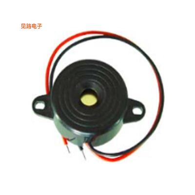 RBE-3.000-3012-NS1 -原装[30mm OD x 12mm Buzze