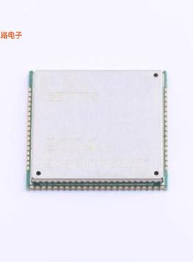 EC04-SGC -[原装2G/3G/4G/5G模块SMD,24x24mm