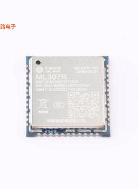 ML307R-DC -[原装2G/3G/4G/5G模块SMD