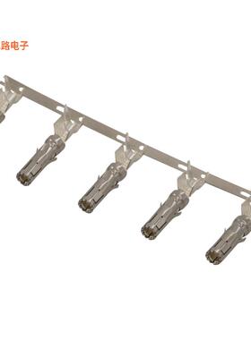 APC-C-10-S-10-6-R -原装[#10 S&F SOCKET WITH SILVER