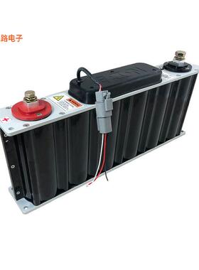 XLR-16R2507-R -[全新CAP MODULE 500F 16.2V]
