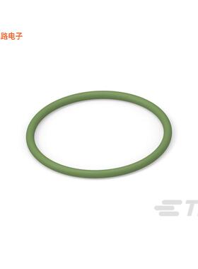 98-22015 -[全新RFI GASKET FNG 10PK]