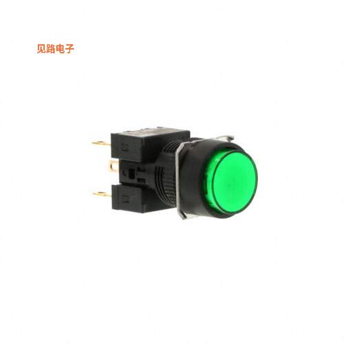 A165-TGM-2 -[全新SWITCH PUSHBUTTON DPDT 5A 125V]