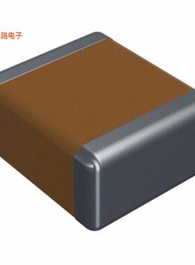 22201C106KAZ2A -原装[CAP CER 10UF 100V X7R 222010 F