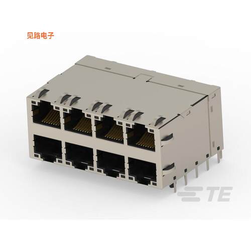 2496731-1 -[全新RJ45 W/MAGNET 2X4 10G LIGHT PIPE]