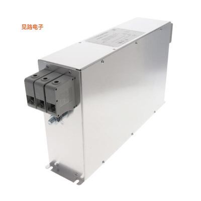 FN258HV-100-35 -原装[LINE FILTER 100A CHASSIS MO