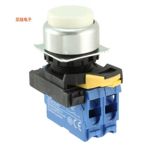 A22NN-RPM-NWA-G101-NN -[全新SWITCH PUSH DPST-NO 10A 120V]