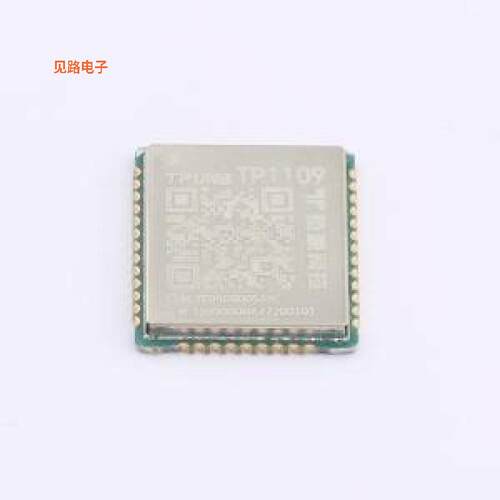 TP1109 -[原装模块SMD,17.7x15.8mm