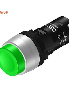 CP24B-A2E11G -[全新22MM/GN/MAINTAINED/1NO1NC]