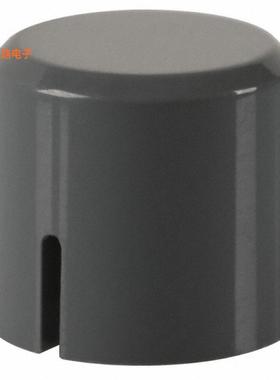 PVGY -[全新CAP KEYSWITCH GRAY]