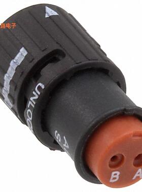 SJS830250 -原装[CONN PLUG HSG FMALE 2POS INLINE插头外壳