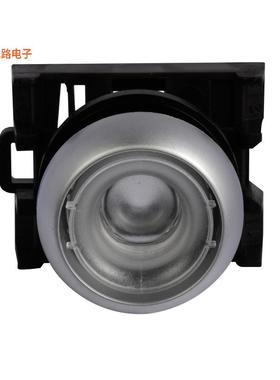 M22-DL-X -[全新ILL MOM PB SIL-BZL BUTTONLESS]