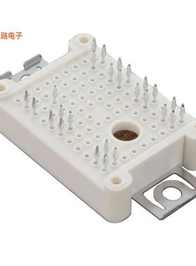 DDB6U50N22W1RPB11BPSA1 -[全新EASY BRIDGE MODULE]