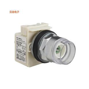 全新CONFIG ILLUM PUSHBUTTON BODY 9001K1L38LG