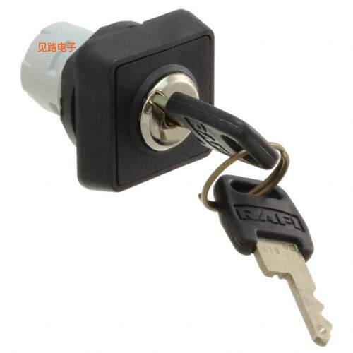 1.30.076.101/0000 -[全新CONFIG SW BODY KEYLOCK NON-ILLUM]