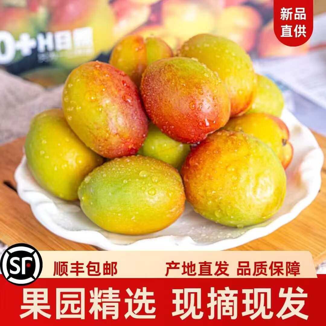 新疆阿克苏芒果杏3斤新鲜水果当季现摘现发水果皮薄肉多核小杏子