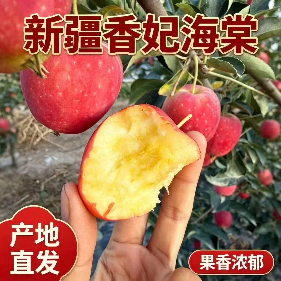 新疆香妃海棠果脆爽酸甜多汁当季新鲜水果阿克苏鸡心小苹果