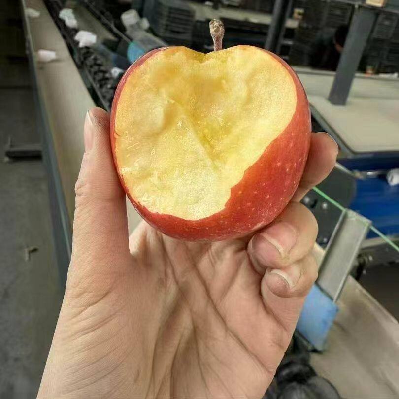 新疆阿克苏樱桃苹果4.6斤箱装应季水果脆甜流汁采摘产地直发包邮