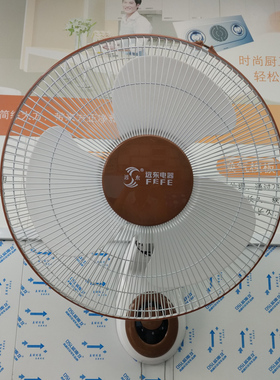 远东墙壁白色壁扇B9铜线FB-40 16寸400mm摇头挂壁式电风扇65W