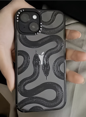 CASETi联名黑蛇王新款适用iPhone17promax手机壳苹果16pro朱正廷同款15透明14百搭13proMagSafe磁吸12全包壳