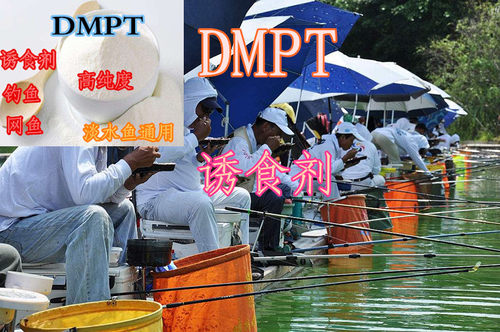 DMPT强效促食信息素诱食剂