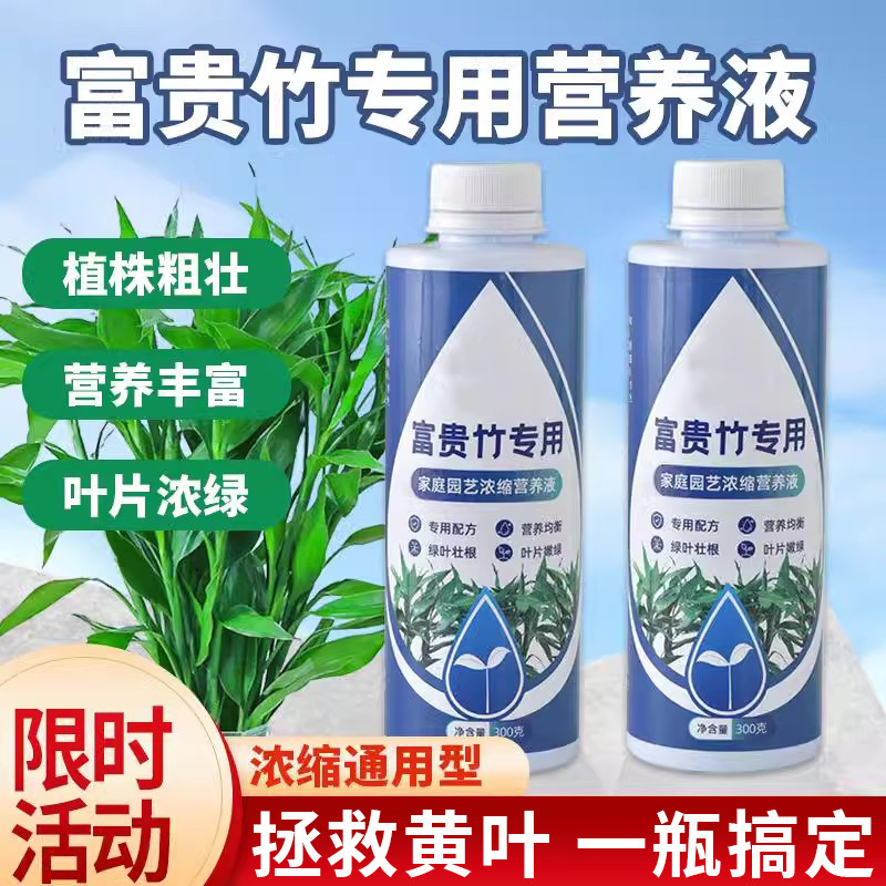 富贵竹专用营养液水培治黄叶促生根转运竹观音竹家用盆栽通用肥料